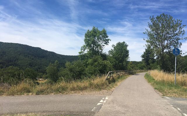 Fietsen langs de Moezel